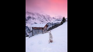 Winter in Switzerland  a visit to Winter Wonderland Mürren Lauterbrunnen [upl. by Lain533]