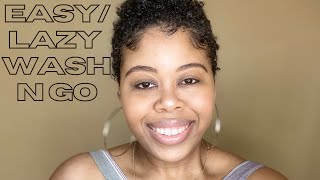 Fast Easy Lazy Wash n Go  Natural 3c4a Hair  TWA [upl. by Pare73]