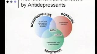 Medical Approach to Neuropathic Pain and Paresthesias [upl. by Aloeda]