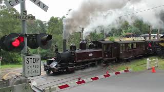 Puffing Billy railway steam locomotive 12A leaving Belgrave [upl. by Jarib582]