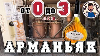 АРМАНЬЯК от 0 до 3 лет  Armagnac VS или Blanche 46  Janneau Domaine TARIQUET [upl. by Htebyram]