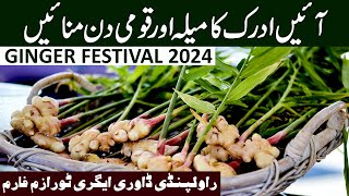 Ginger Festival 2024 News  Dawri Agritourism Farm Rawalpindi [upl. by Bolan135]