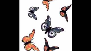 andre popp las mariposas butterflies papillons [upl. by Schwartz]