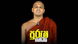 පුරුෂ ගන්ධය GosingaWanaArana VenKebithigolleweAmarathissaThero DharmaDheshana ධර්මදේශනා [upl. by Milon589]