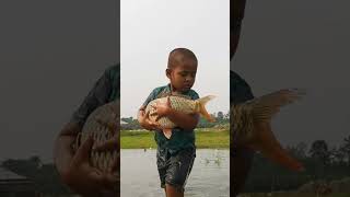 Amazing Hand Fishing Video Fish [upl. by Onateag574]