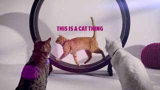 Cheristin® for Cats Commercial Its a Cat Thing [upl. by Bertle514]