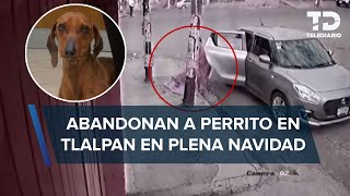 ‘Huesitos’ perro salchicha abandonado en Tlalpan fue rescatado le buscan hogar [upl. by Oalsinatse]