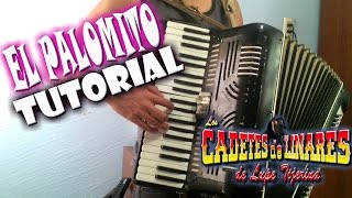 El Palomito  Tutorial Para Acordeon De Teclas  Los cadetes de linares [upl. by Pepillo]