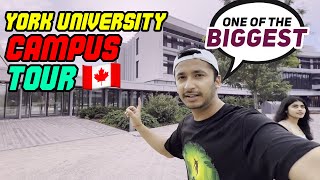 Schulich School of Business York University Campus TourBSchool Fees Rent JobsToronto Hindi [upl. by Lezirg573]