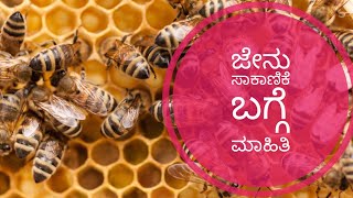 ಜೇನು ಸಾಕಾಣಿಕೆ ತರಬೇತಿBeekeeping Training for Beginnersbee farming [upl. by Halle693]