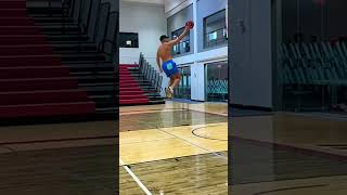 THE LONGEST DUNK EVER RECORDED [upl. by Pavla]