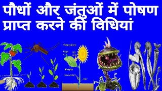 पौधों और जंतुओं में पोषण प्राप्त करने की विधियां  vanaspati me poshan study biology [upl. by Lorrayne]