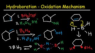 Hydroboration Oxidation Mechanism of Alkenes  BH3 THF H2O2 OH Organic Chemistry [upl. by Enajiram392]