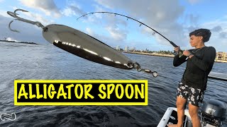 7 ALLIGATOR SPOON CATCHES TONS OF JACKS AND BLUEFISH [upl. by Seavey]