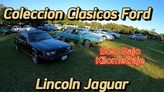 Coleccion de Ford LTD Marquis Mustang Fairmont Elite Lincoln [upl. by Durrell]