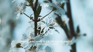 Paul Arcane amp Leon DeFranco  Perspectives [upl. by Caron307]