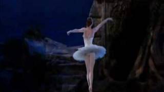 Gillian Murphy Odette Swan Lake ABT [upl. by Aydan]