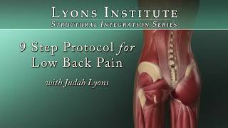 Lyons Institute  9 Step Protocol for Low Back Pain  Introduction [upl. by Maggs]