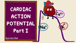 2Minute Neuroscience Action Potential [upl. by Bainbrudge88]