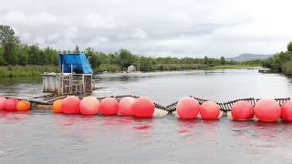 How does a Fish Weir Work [upl. by Lakim]