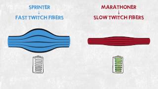 Sprinter vs Marathoner [upl. by Nnylylloh976]