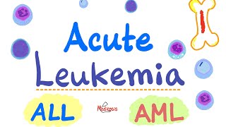 Acute Leukemia  ALL and AML  Hematology and Oncology Series [upl. by Sinne977]