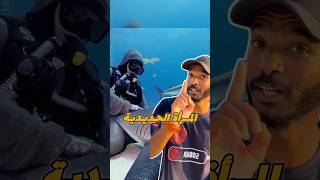 المرأة الحديدية  إنقاذ اسماك القرش  🤯 غوص diving scubadiving [upl. by Hamrnand]