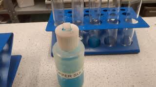 Exothermic and endothermic reactions [upl. by Lopes]