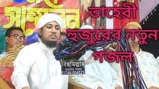 তাহেরির কন্ঠে সুন্দর গজল  সোনার মদিনা বহুদুরে  islamicgojol taheriwaz তাহেরীগজল [upl. by Milas]