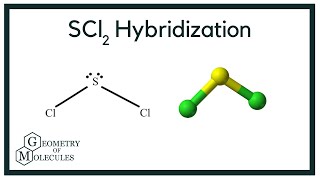 SCl2 Hybridization Sulphur Dichloride [upl. by Enaols741]