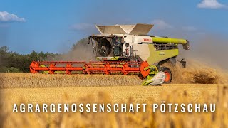 Die Getreideernte 2023  Landwirtschaft  Agrargenossenschaft Pötzschau [upl. by Osbourn]