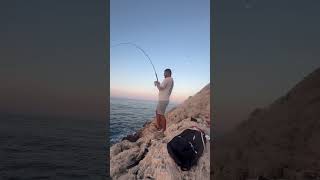 amberjack kuzu akya shorejigging shorejig balıkavı sabah suyunda 8 kg akya [upl. by Aihsenat52]