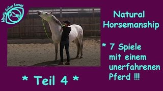 7 Spiele nach Parelli mit einem unerfahrenen Pferd  Natural Horsemanship Reihe  Teil 4 [upl. by Enyawud]