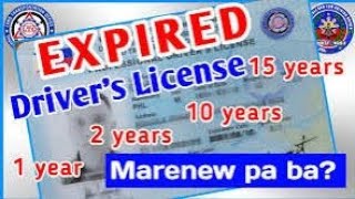 Magkano ang Penalty ng expired na Drivers License [upl. by Arahset]