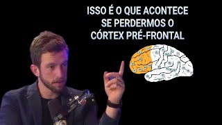 Como funciona o córtex préfrontal Descubra suas funções e importância Eslen Delanogare [upl. by Alah]