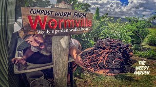 From Scraps to Soil Gold Unlocking the Secrets of a Compost Worm Farm  Worm Farming For Compost [upl. by Eladnor567]