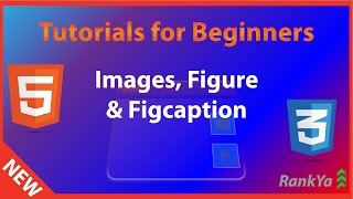 Figure Figcaption IMG tag  html5 amp CSS Course  Full html5 Course for FREE [upl. by Calia456]