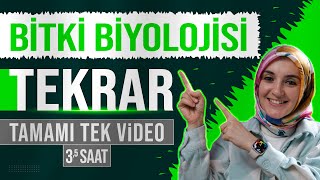 13 Bitki Biyolojisi FULL TEKRAR  12 Sınıf Biyoloji  AYT Biyoloji Konu Anlatımı 13 [upl. by Nadeen]