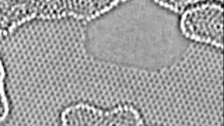 Carbon atoms moving at the edge of a hole in graphene [upl. by Attekram]