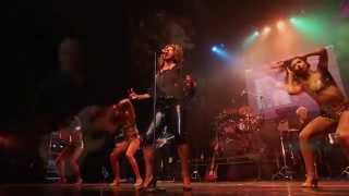 Tina Turner Tour 2015 The TinaTurner Experience 2 min [upl. by Mikeb]