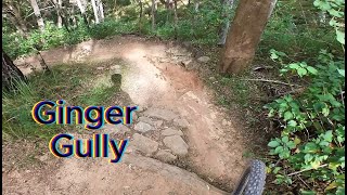 Cornubia MTB Ginger Gully [upl. by Centonze]