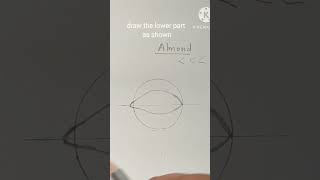 Learn to draw an almond shaped eye shorts playwithpencil almondeyeshapedraweyes eyedrawing [upl. by Enaitsirhc]