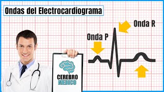 Ondas del Electrocardiograma  ▷ Como leer un EKG paso a paso [upl. by Nnaecarg]