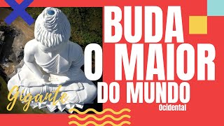 BUDA MAIOR do MUNDO OCIDENTAL GIGANTE em IBIRAÇU [upl. by Sharlene]