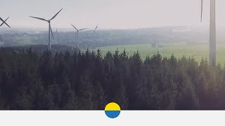 Wie wirken sich Windkraftanlagen auf die Umwelt aus [upl. by Pace314]