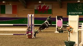 Showjumping  Home Pony Part 2  2012 [upl. by Tuinenga]