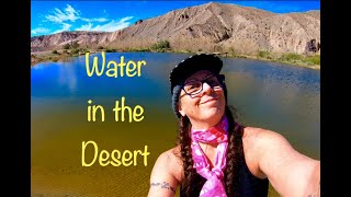 Sperry Wash Dumont Dunes China Date Ranch Shakes Hike [upl. by Ahsieat271]