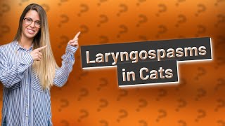 What is a Laryngospasm in cats [upl. by Amikan459]