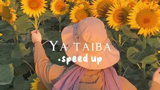 Ya Taiba  speed up [upl. by Atinahs]