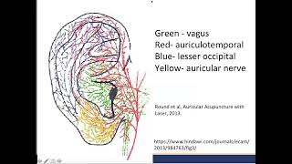 An Introduction to Auricular Acupuncture for Pain Management [upl. by Nomi]